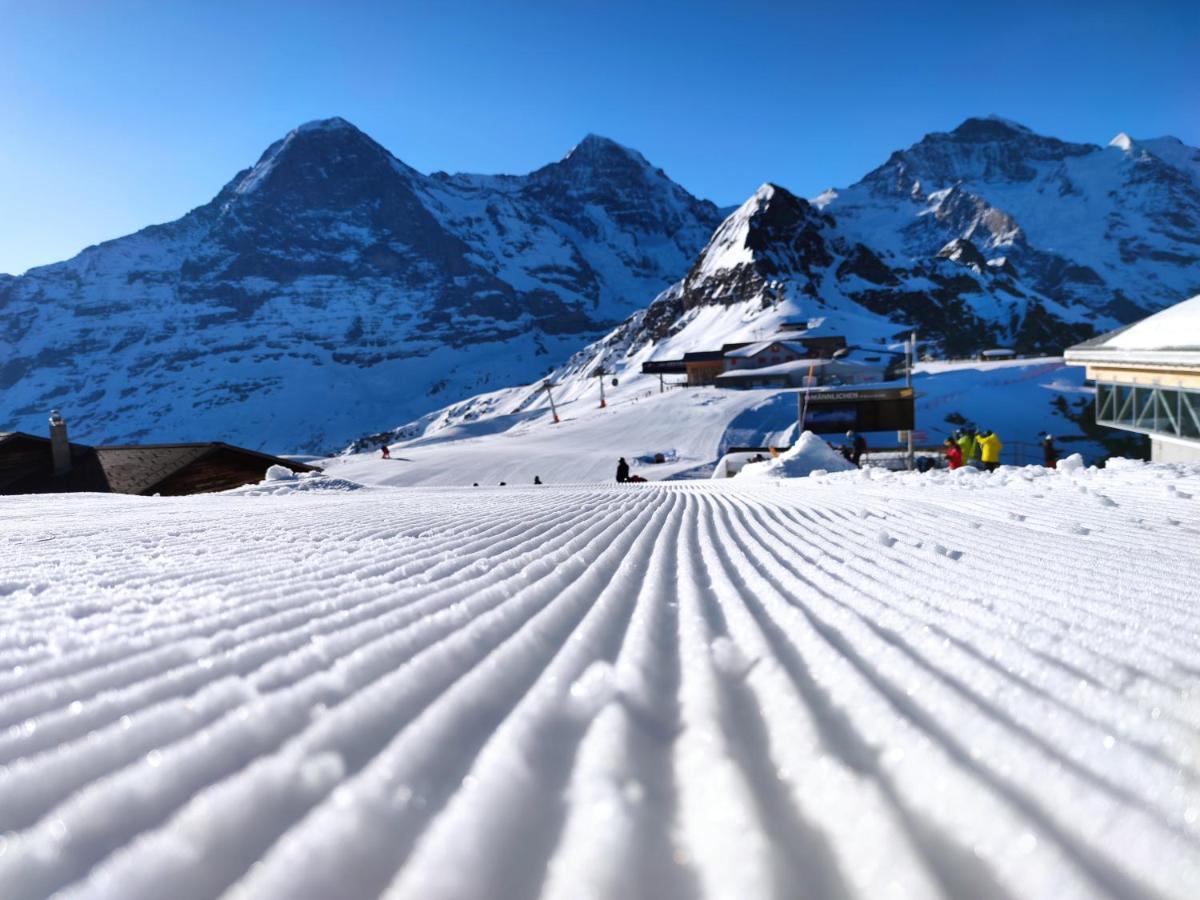 Chalet Pfyffer - Mountain View Grindelwald Exteriör bild