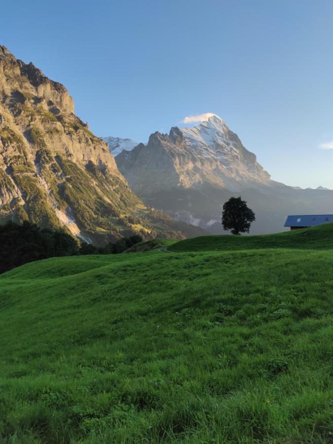 Chalet Pfyffer - Mountain View Grindelwald Exteriör bild